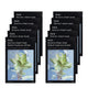 Abib Gummy Sheet Mask Sedum hyaluron sticker 10 Sheets