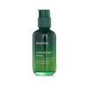INNISFREE - Green Tea Seed Serum 249659 80ml/2.7oz