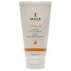 Vital C Hydrating Enzyme Masque by Image for Unisex - 2 oz Mask